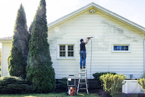 Boat and Dock Cleaning in Banner Hill, TN